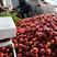 精品露天油桃，早48油桃，供应电商，代发全国各大水果市场
