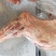 烧烤羊前腿2.5～4斤厂家直销质量上乘饭店必备