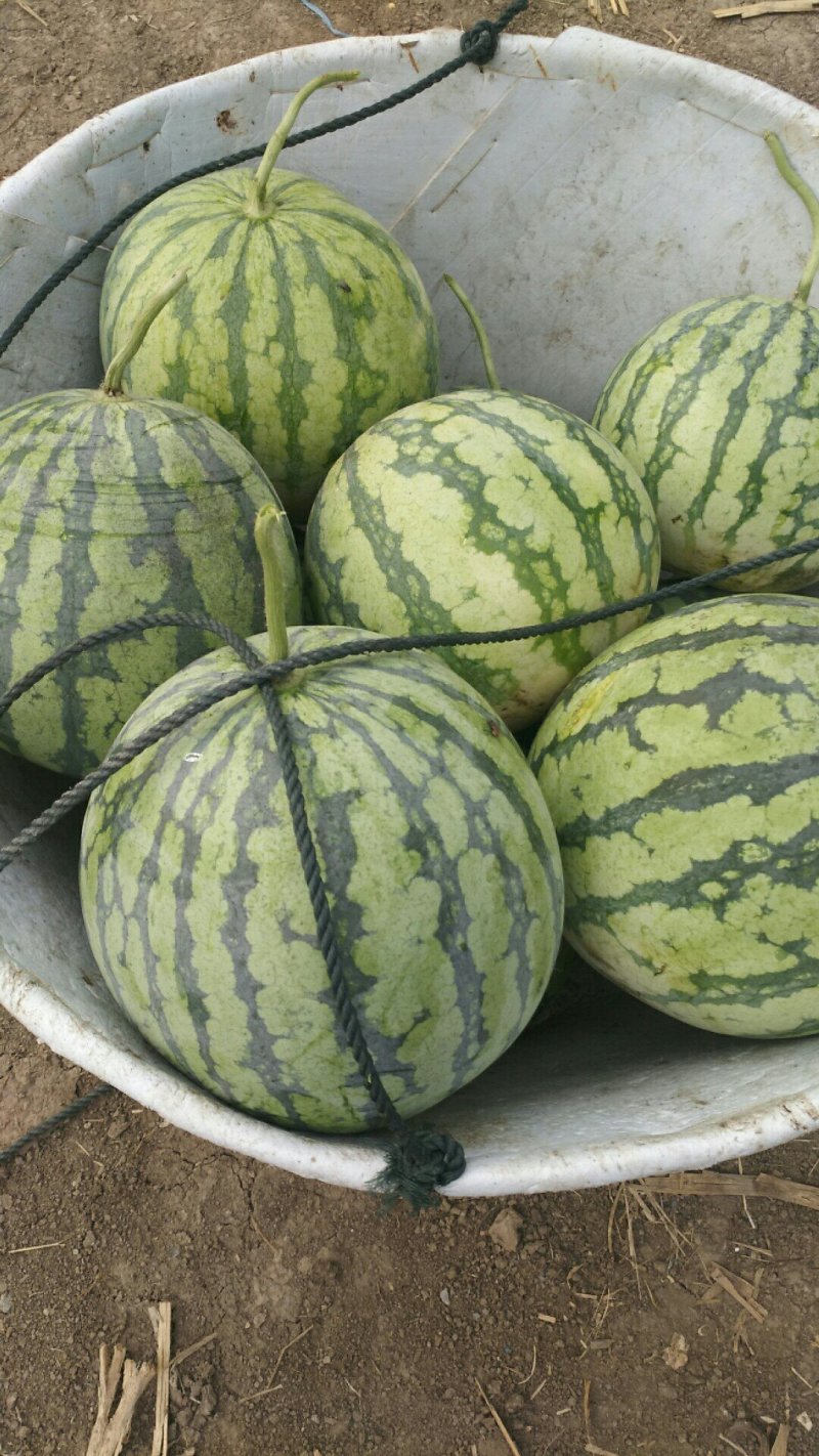 8424