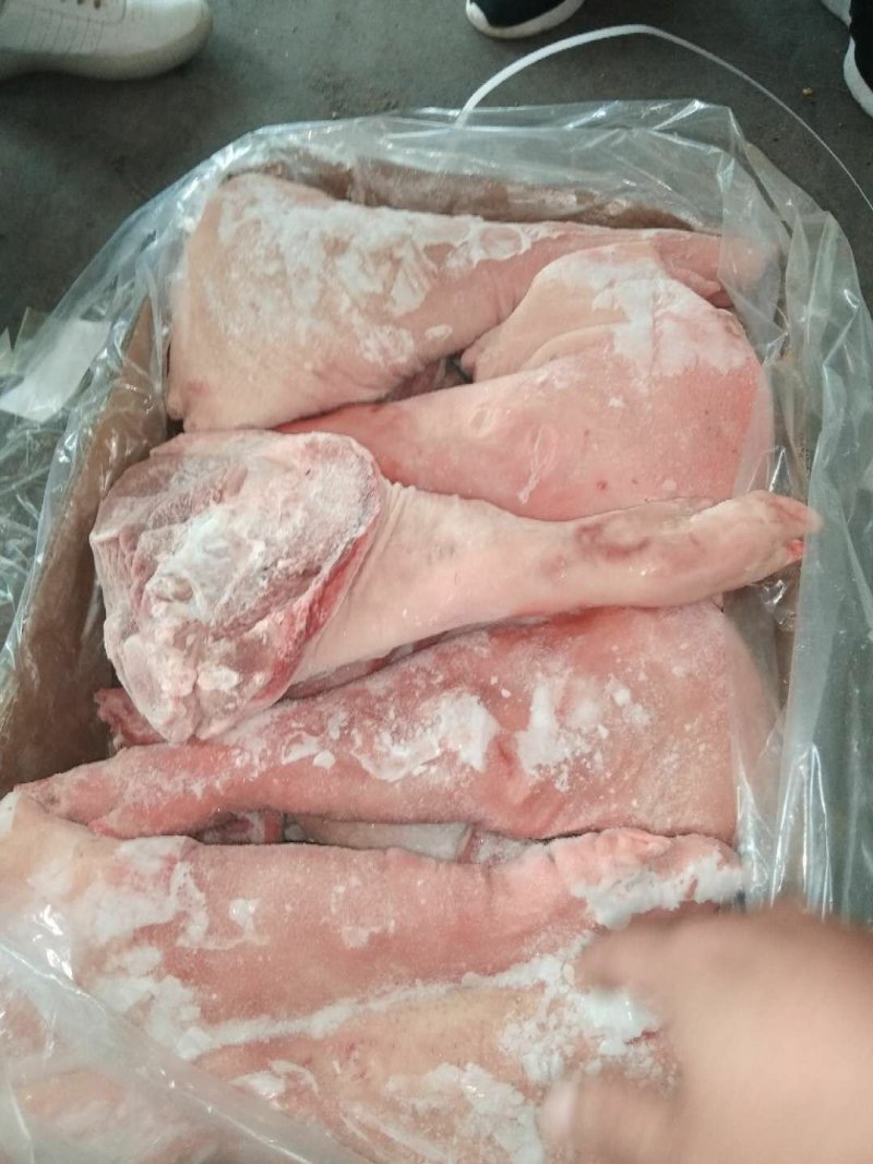 厂价直销肥猪肘爪子山东临沂