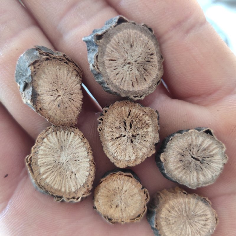 赤芍精选1.2以上关书药业批发各种规格中药材