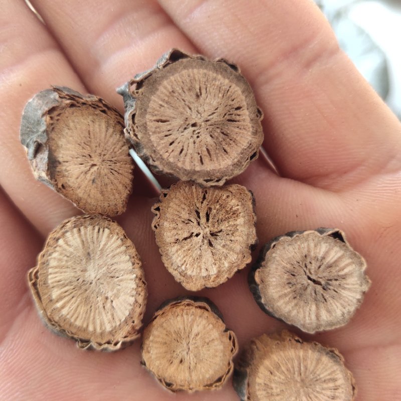 赤芍精选1.2以上关书药业批发各种规格中药材