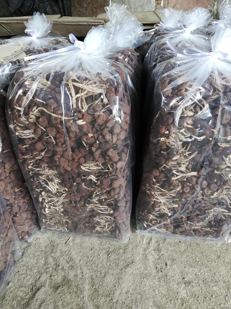 5号茶树菇，产地直供，货源充足，保质保量。
