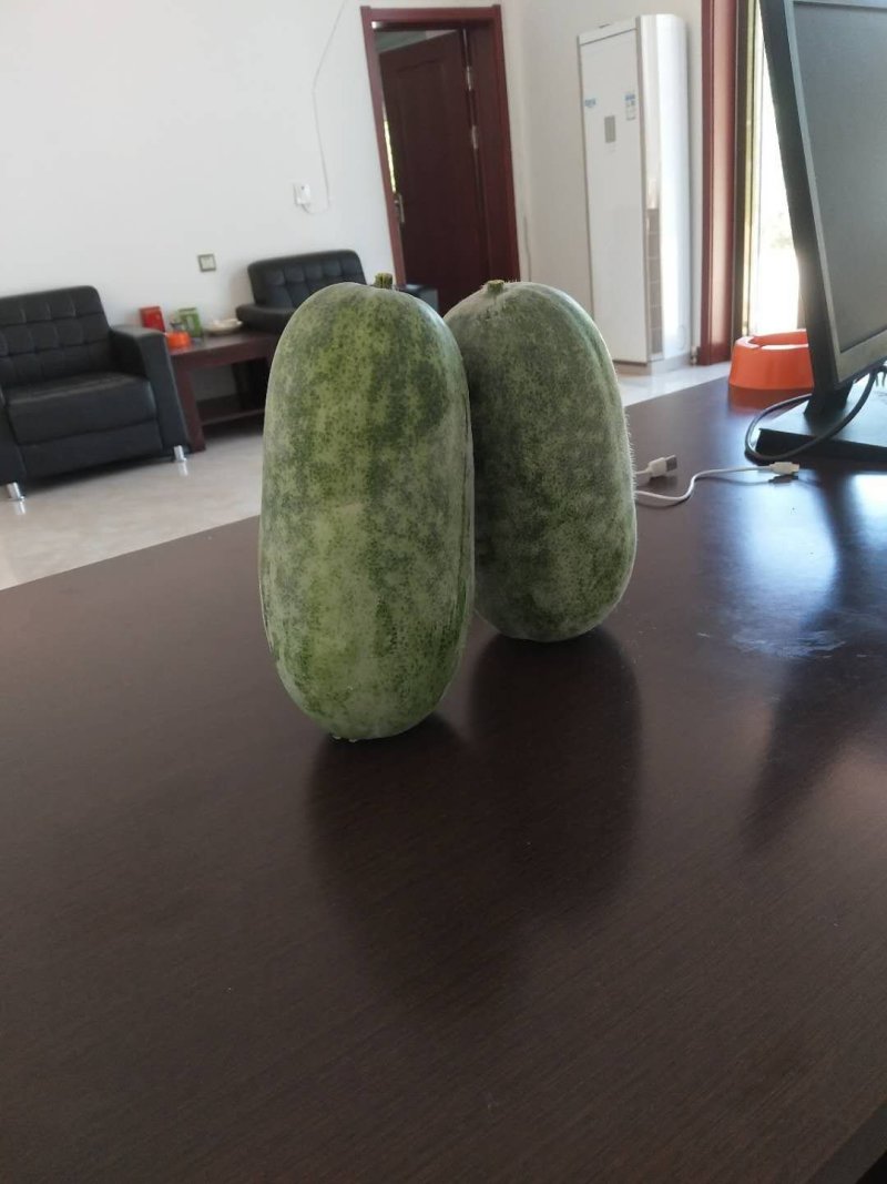 水果冬瓜，…………………………………………