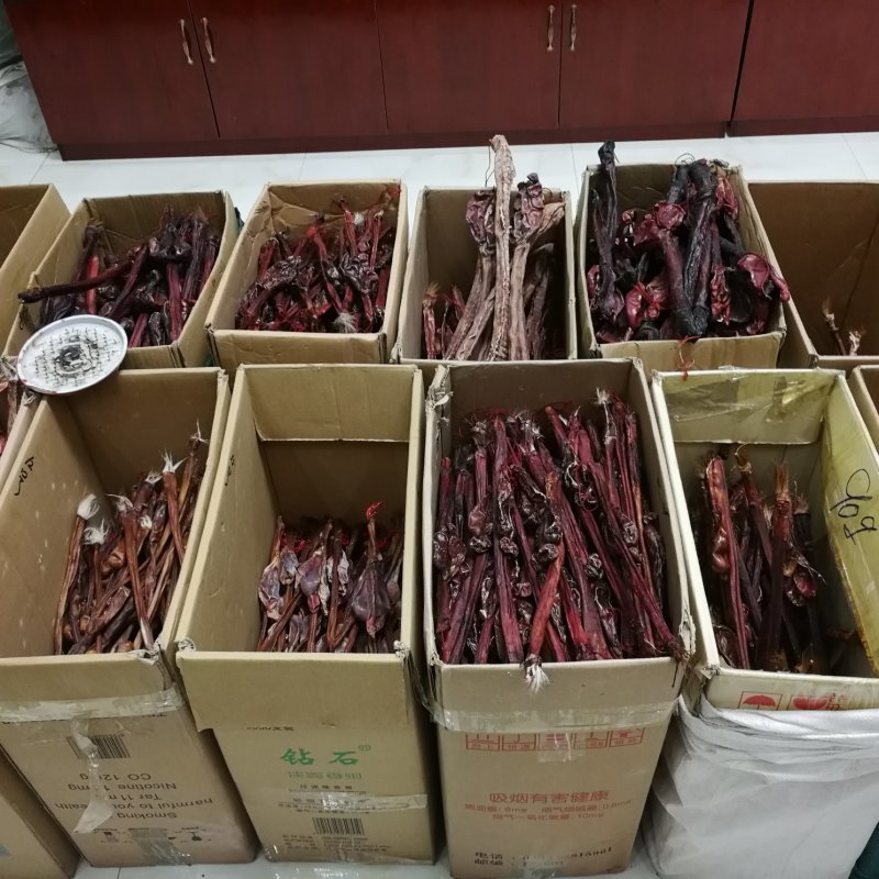 驴鞭干大条整支干驴鞭驴肾男性泡酒材料滋补品