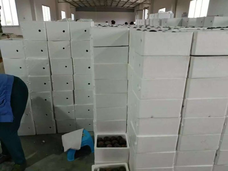 广西百香果一件代发