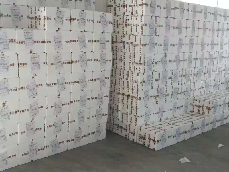 广西百香果一件代发