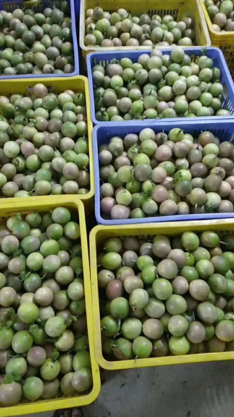 广西百香果一件代发