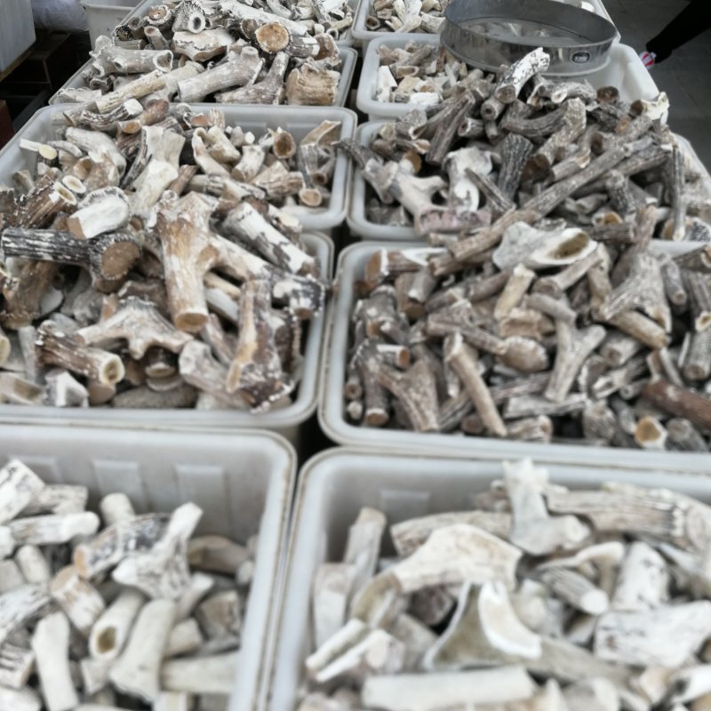 鹿角霜中药材鹿角霜大货批发