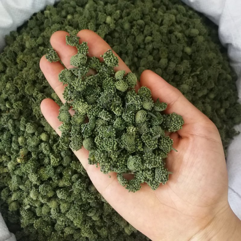 三七花中药材四年三七花泡茶