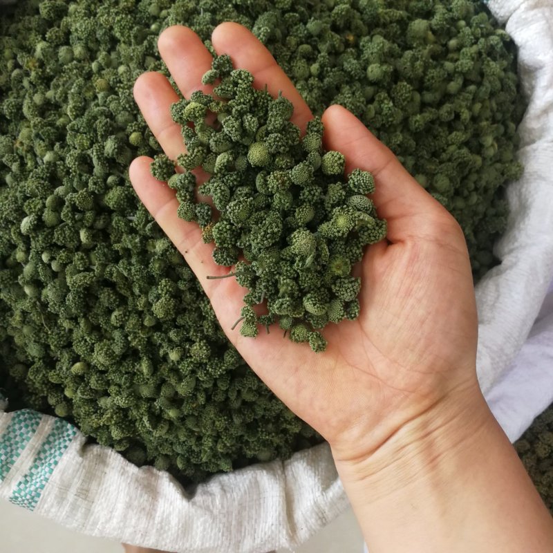 三七花中药材四年三七花泡茶