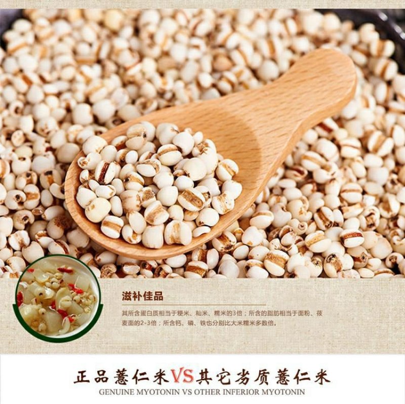贵州特产薏仁米新鲜小白壳薏仁黄米养生养胃五谷杂粮450g