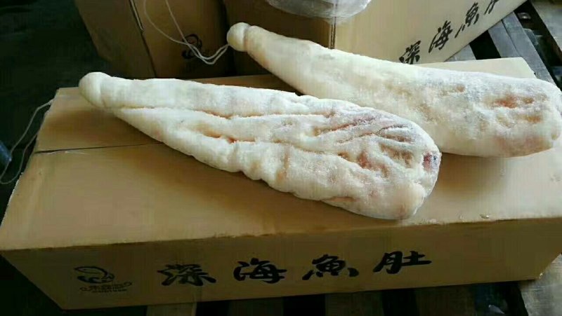 深海鲨鱼肚，鲨鱼肚条，厂家直接供应！欢迎垂询！