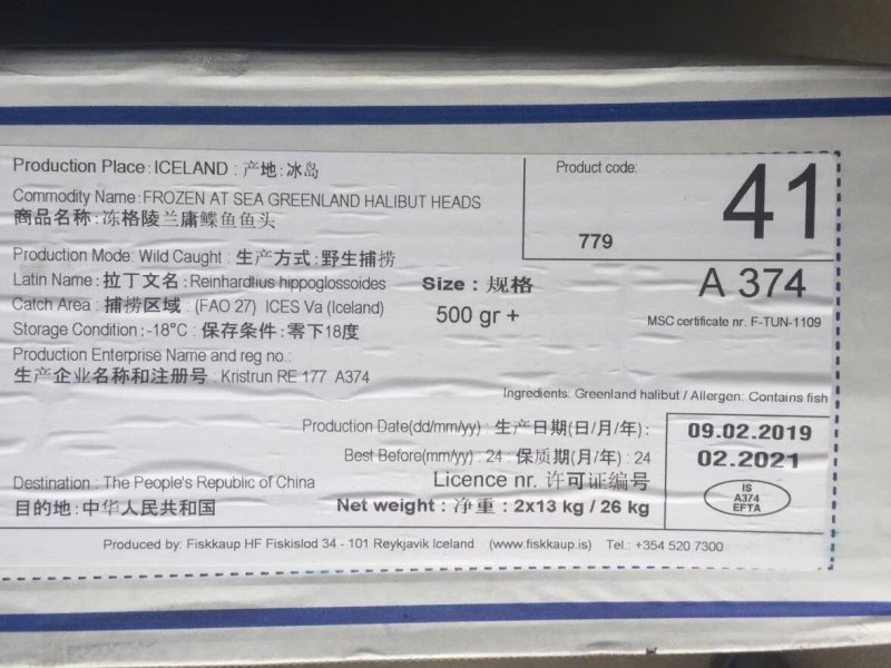 比目鱼头