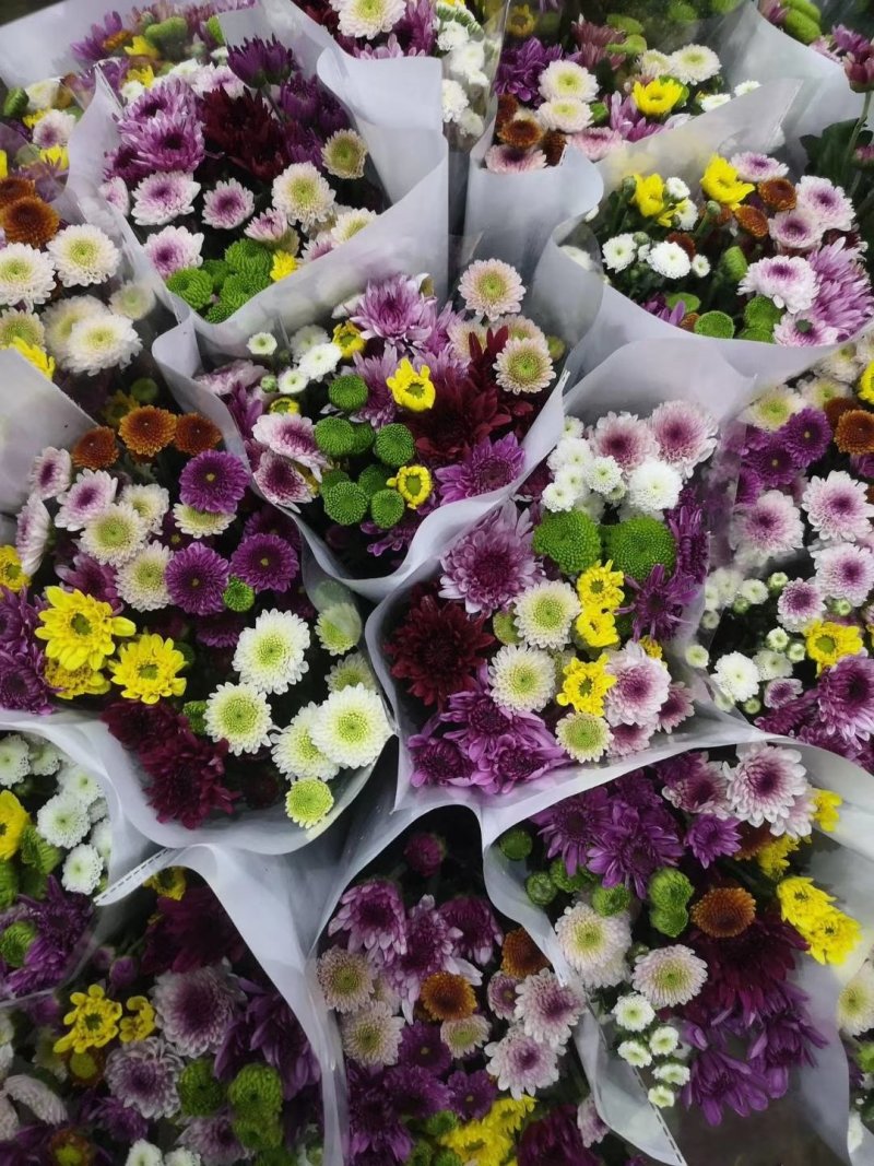 云南鲜花，基地直供，玫瑰花，百合，菊花，满天星，勿忘我等