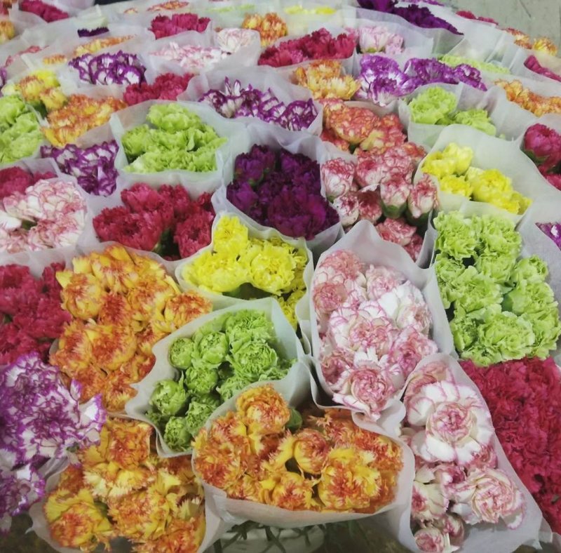 云南鲜花，基地直供，玫瑰花，百合，菊花，满天星，勿忘我等