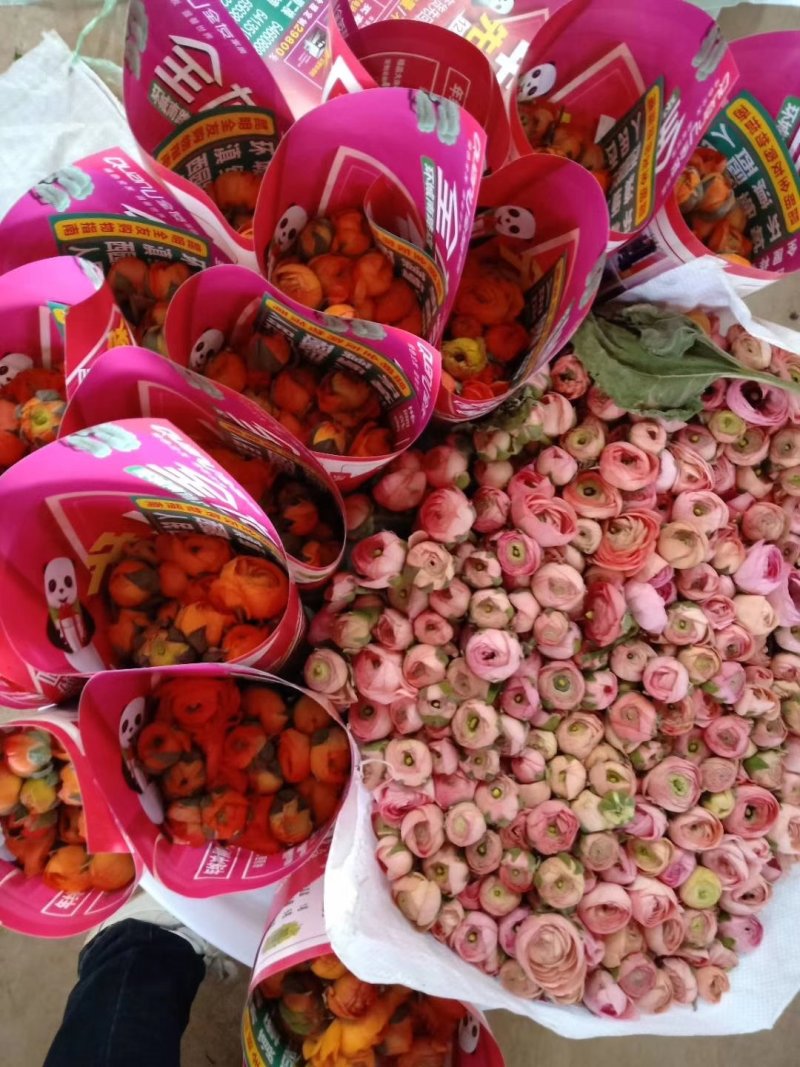 云南鲜花，基地直供，玫瑰花，百合，菊花，满天星，勿忘我等