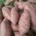 精品红薯龙薯九号黄心红薯红心，产地商超市场，加工厂养殖厂