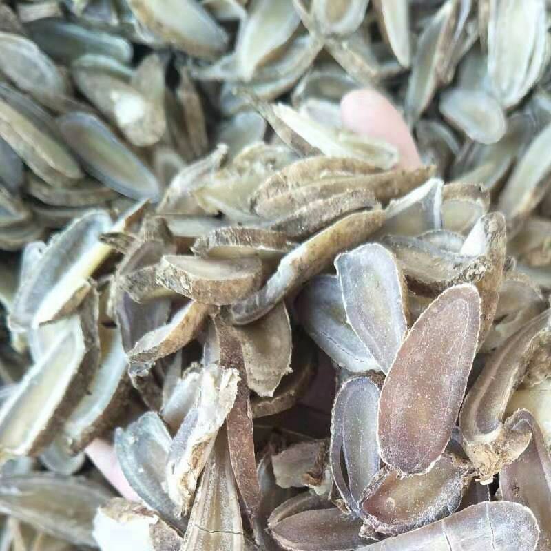 郁金广郁金品质保证供应上千种中药材