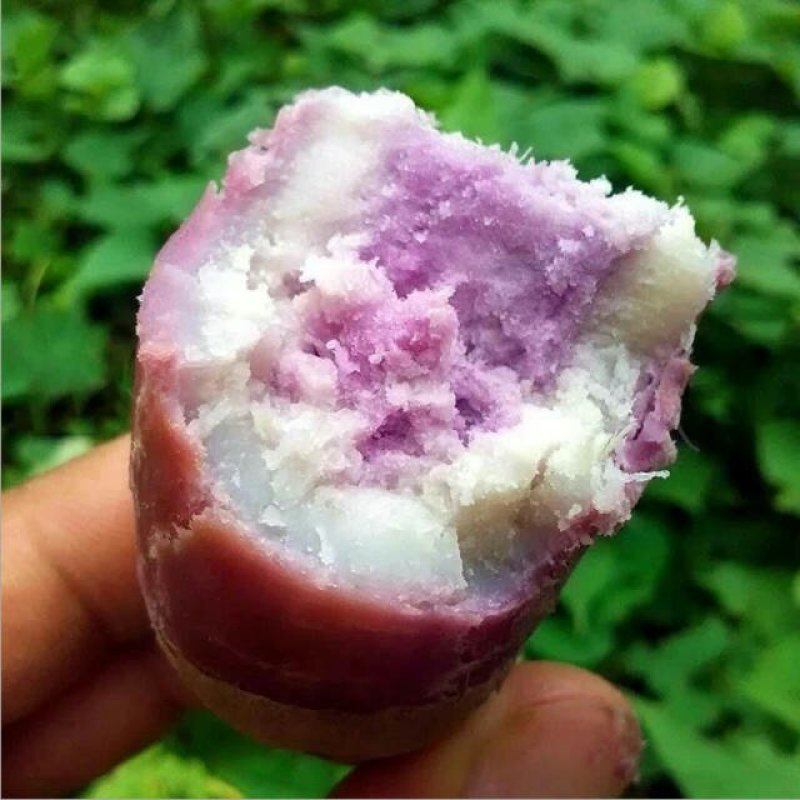 新鲜冰淇淋红薯一点红番薯现挖农家自种花心粉糯香甜