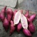 新鲜冰淇淋红薯一点红番薯现挖农家自种花心粉糯香甜