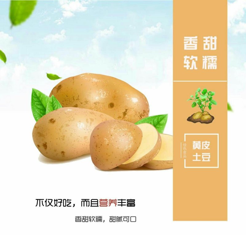 土豆