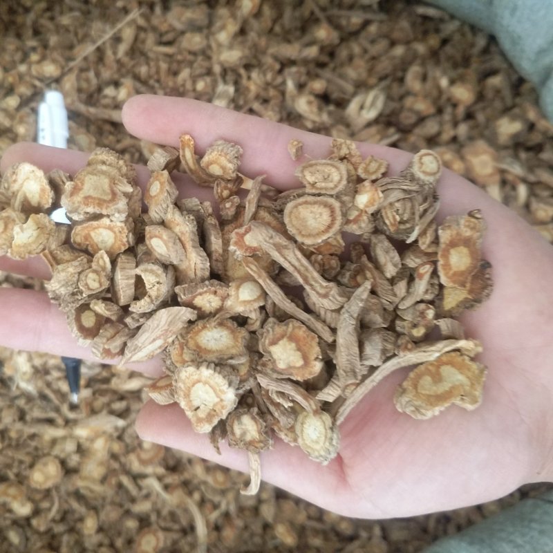 振兴药材批发供应山西防风规格齐全产地直供一手货源全国发货