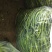 线椒大棚种植20厘米特辣当天采摘当天发货新鲜十足