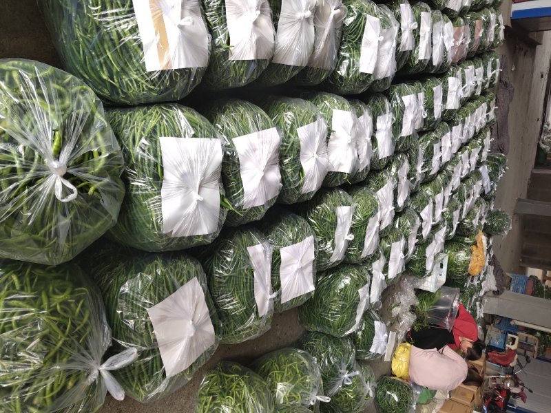 线椒大棚种植20厘米特辣当天采摘当天发货新鲜十足