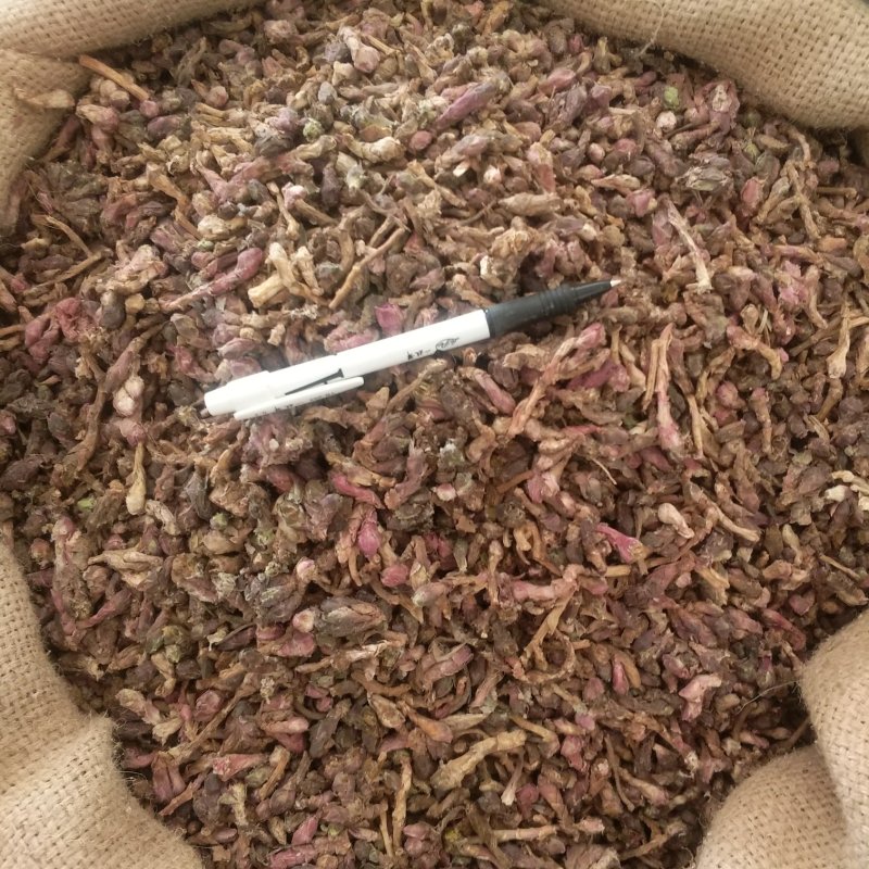 振兴药材批发供应款冬花规格齐全产地直供一手货源全国发货