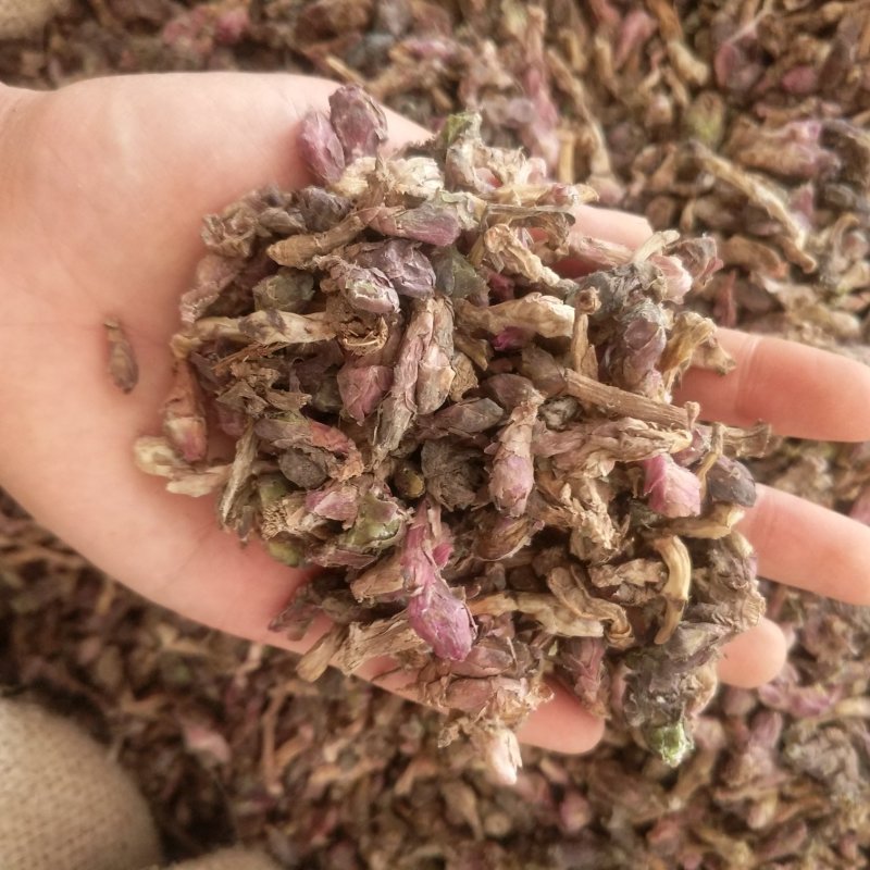 振兴药材批发供应款冬花规格齐全产地直供一手货源全国发货