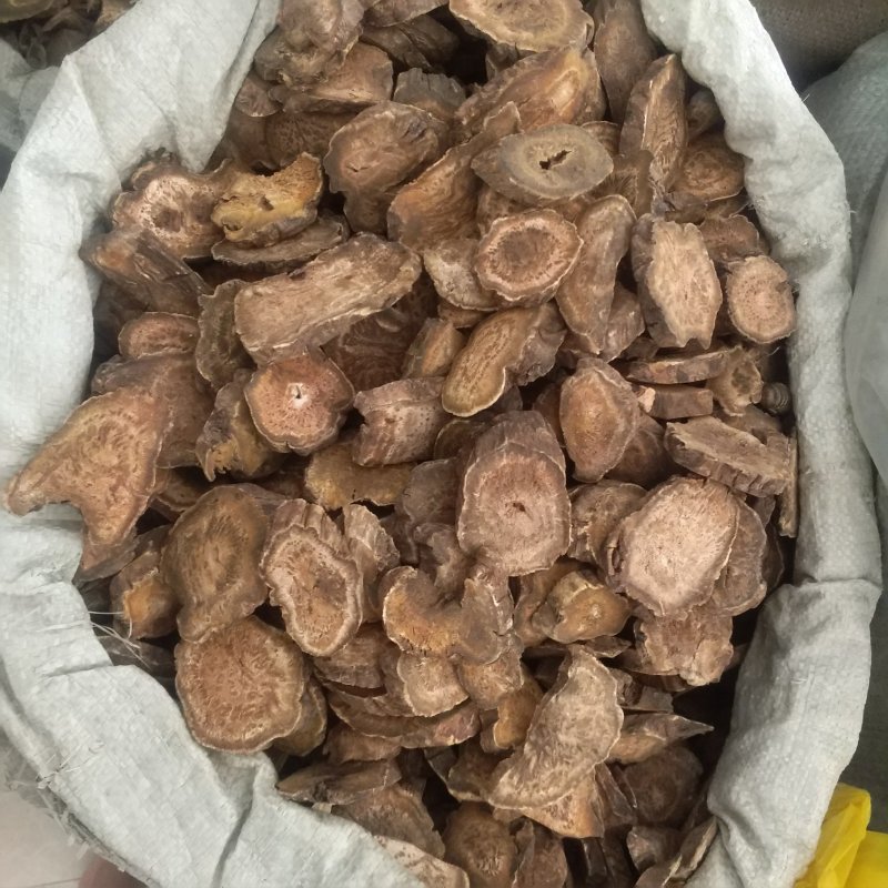 振兴药材批发供应马蹄大黄规格齐全产地直供一手货源全国发货