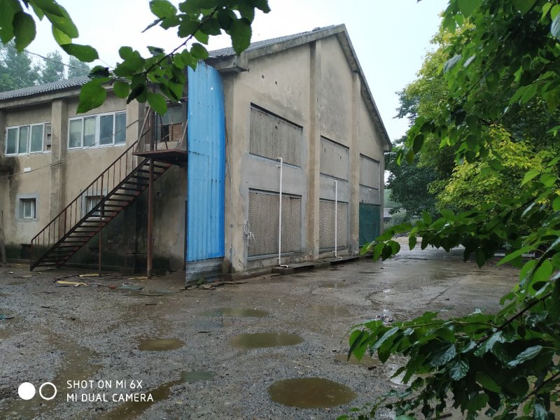 出售或出租沙洋30亩养殖场
