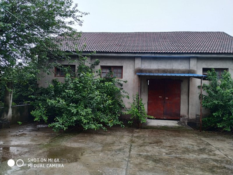 出售或出租沙洋30亩养殖场