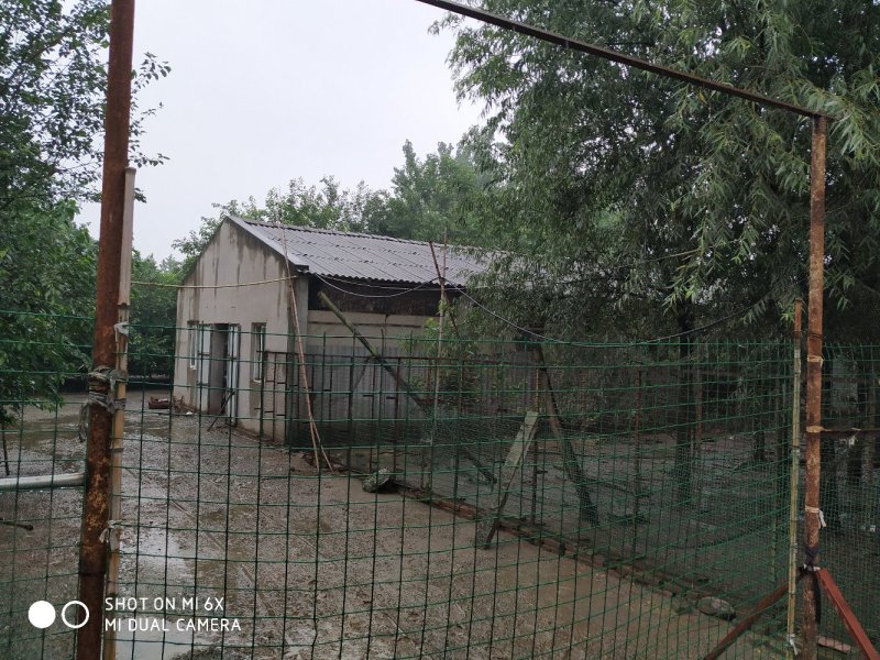 出售或出租沙洋30亩养殖场
