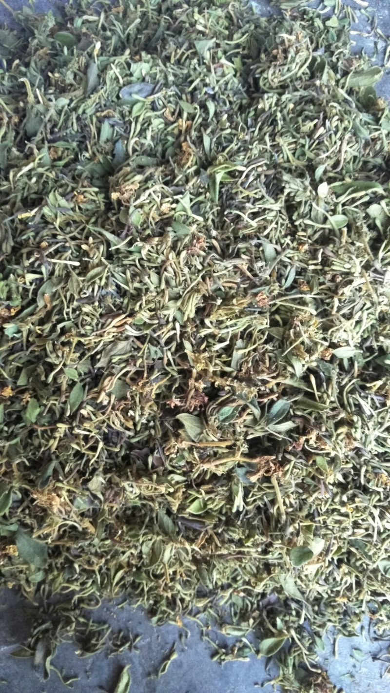 金银花，零售，物流发货，大货装车，贵州山银花。
