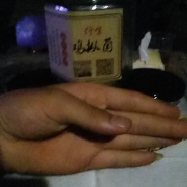 鸡纵油