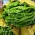 陕西省榆林市定边县白泥井镇精品陇椒螺丝椒