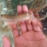 海虾红爪虾