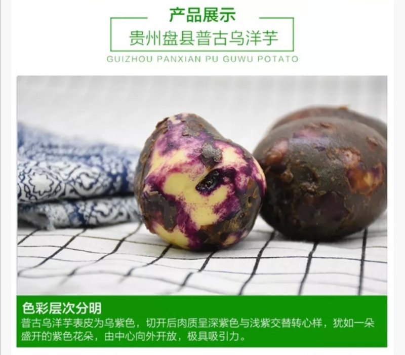 盘州市正品乌洋芋《紫色马铃薯》