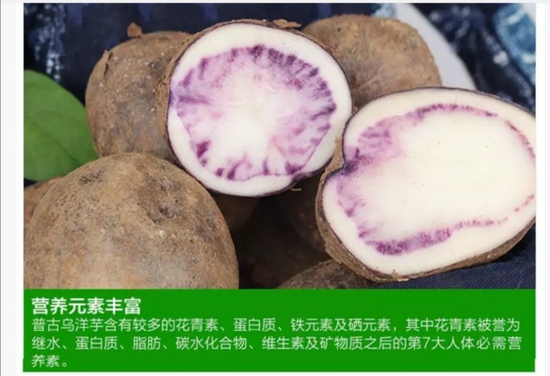 盘州市正品乌洋芋《紫色马铃薯》