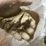米糠，大量米糠，价格美丽，有需要的老板电话联系