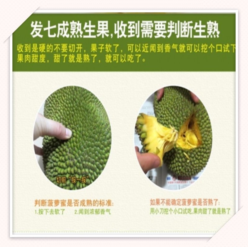 菠萝蜜全国包邮一件代发