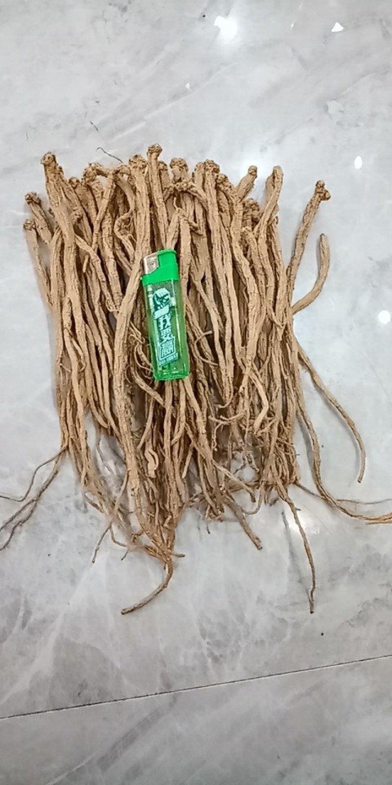 党参干货中条
