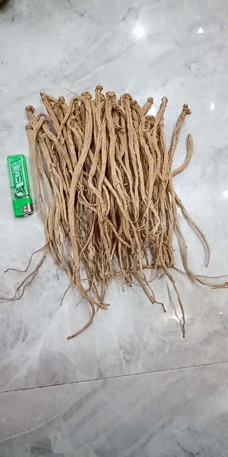 党参干货中条