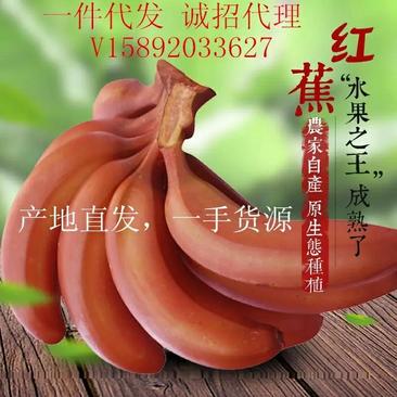 福建漳州红皮香蕉美人蕉产地直发批发代发价格实惠