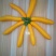 香蕉西葫芦。