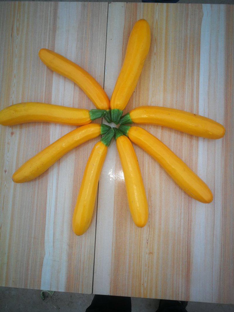 香蕉西葫芦。