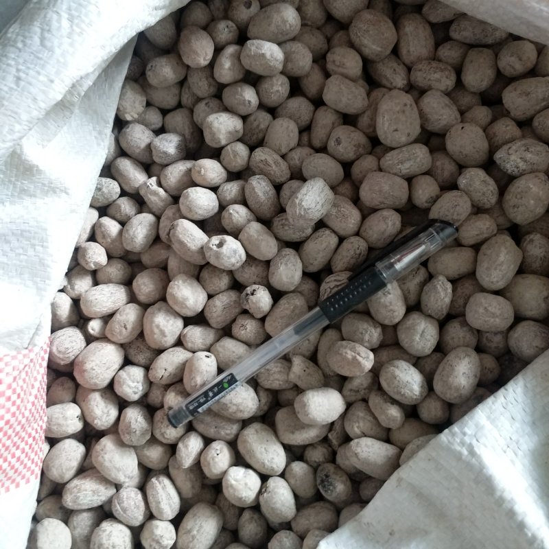 振兴药材批发供应制肉豆蔻规格齐全产地直供一手货源全国发货