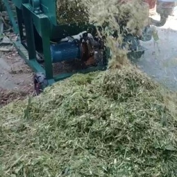[精品]揉丝机干鲜秸秆粉碎揉丝机稻草饲料揉丝机大型